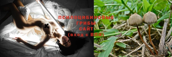 молекула духа Красноперекопск