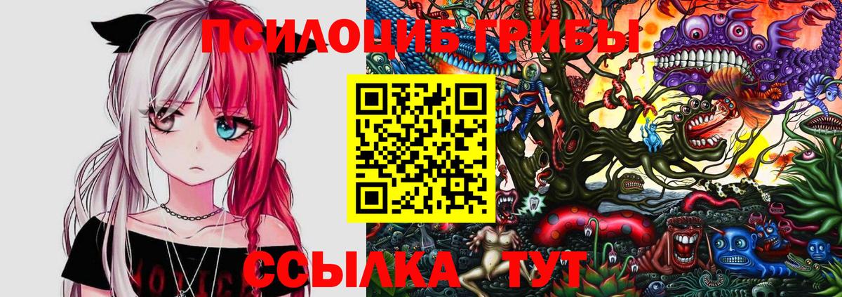 Псилоцибиновые грибы Cubensis  Псилоцибиновые грибы Psilocybine cubensis  Вход с VPN  Новоуральск 